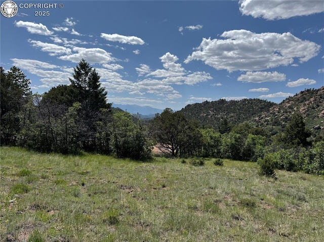 1455 Durfee Cir, Westcliffe, CO 81252 - photo 21