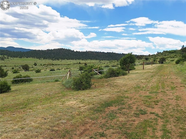 1418 Little Horn Dr, Westcliffe, CO 81252 - photo 16