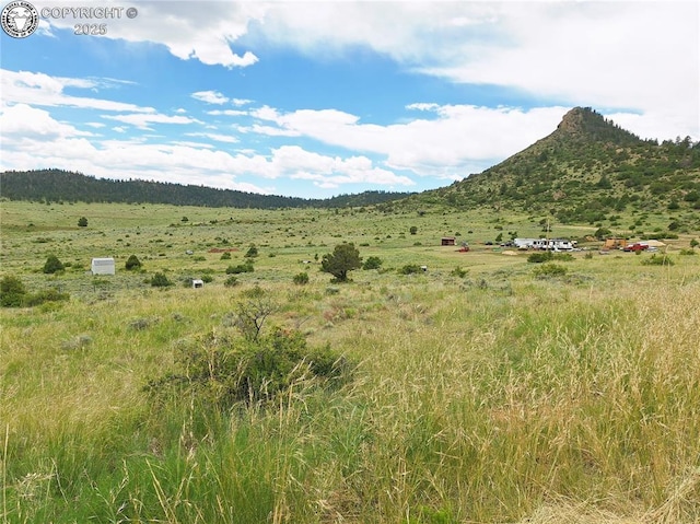 1418 Little Horn Dr, Westcliffe, CO 81252 - photo 11
