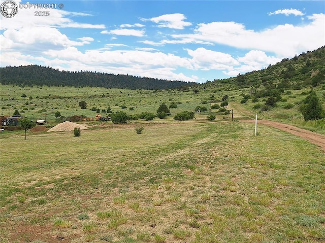 1418 Little Horn Dr, Westcliffe, CO 81252 - photo 15