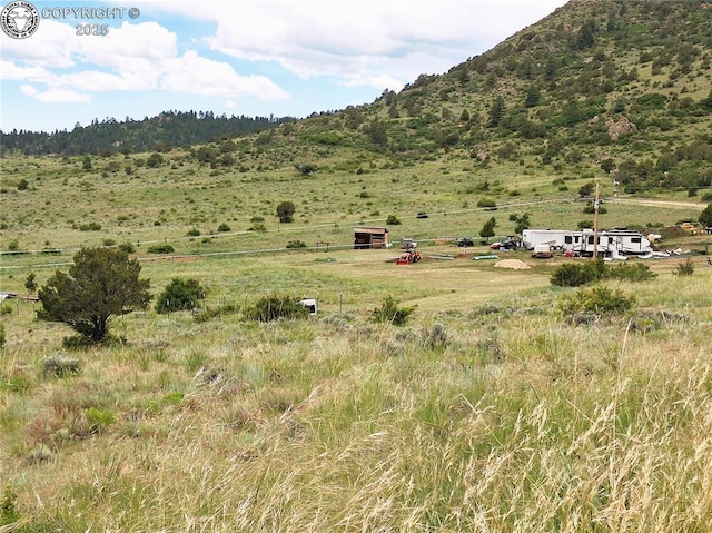 1418 Little Horn Dr, Westcliffe, CO 81252 - photo 4