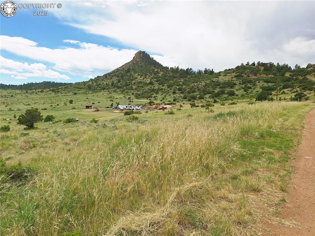 1418 Little Horn Dr, Westcliffe, CO 81252 - photo 13