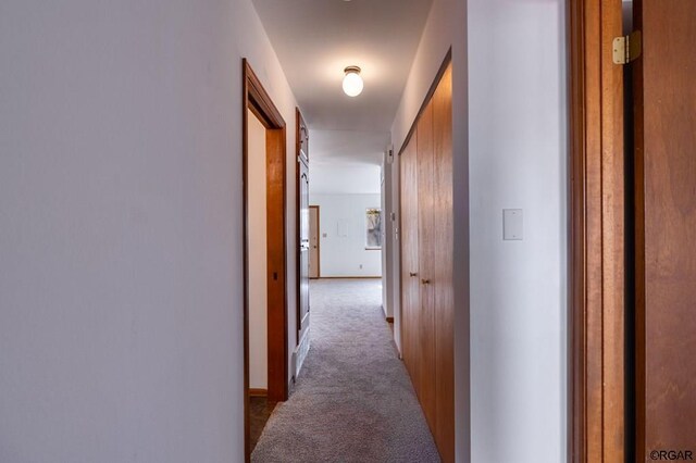 hall featuring light colored carpet and a barn door