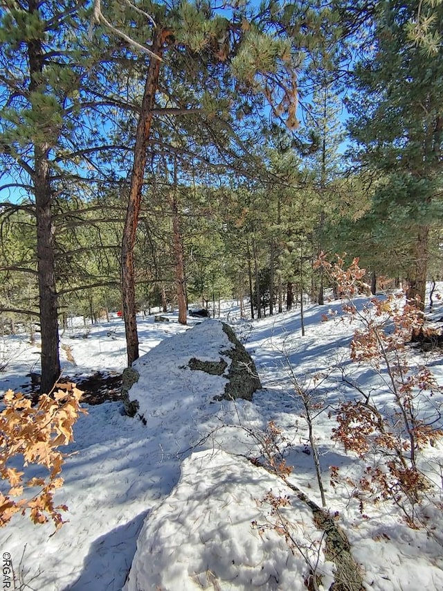 Listing photo 2 for 269 Sourwood Ln, Canon City CO 81212