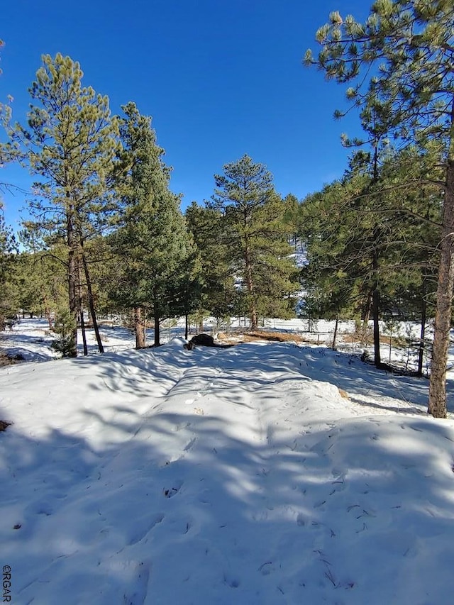 Listing photo 3 for 269 Sourwood Ln, Canon City CO 81212