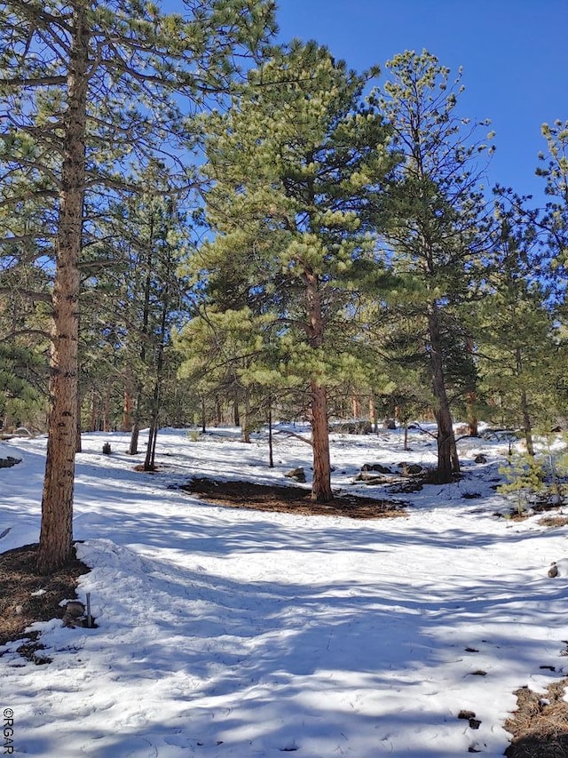 269 Sourwood Ln, Canon City CO, 81212 land for sale