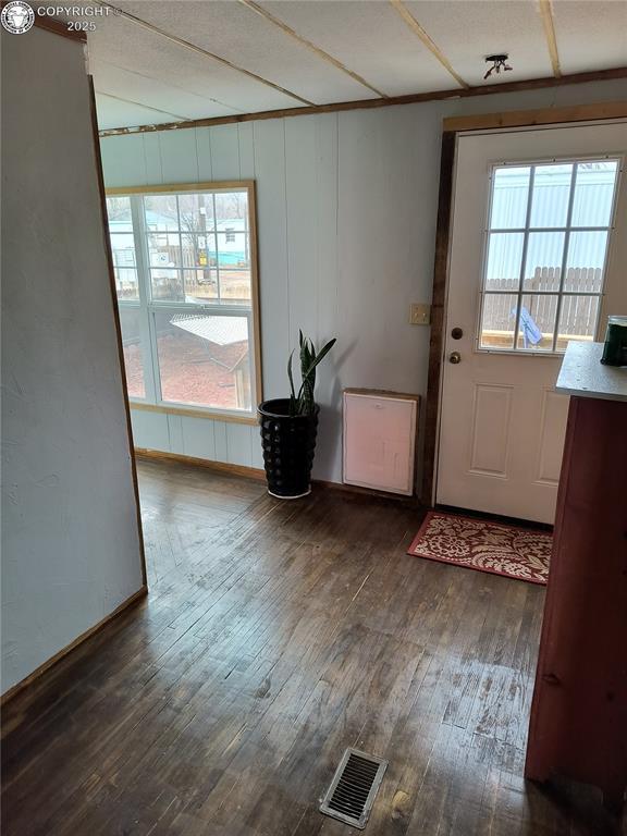 doorway to outside featuring dark wood-type flooring