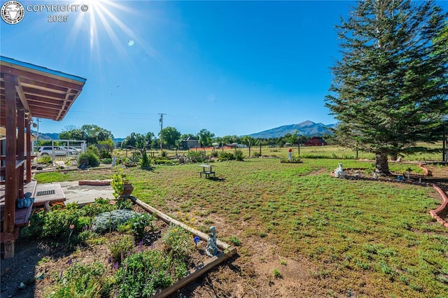 view of yard featuring a mountain view and a rural view