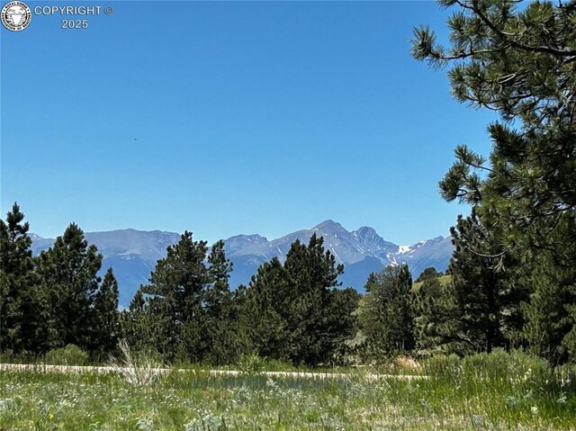 2716 County Road 327th Dr, Westcliffe, CO 81252 - photo 7