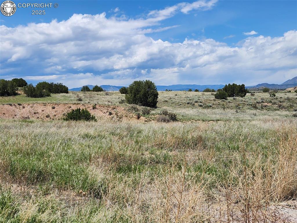 207 High Meadows Dr, Florence, CO 81226 - photo 3