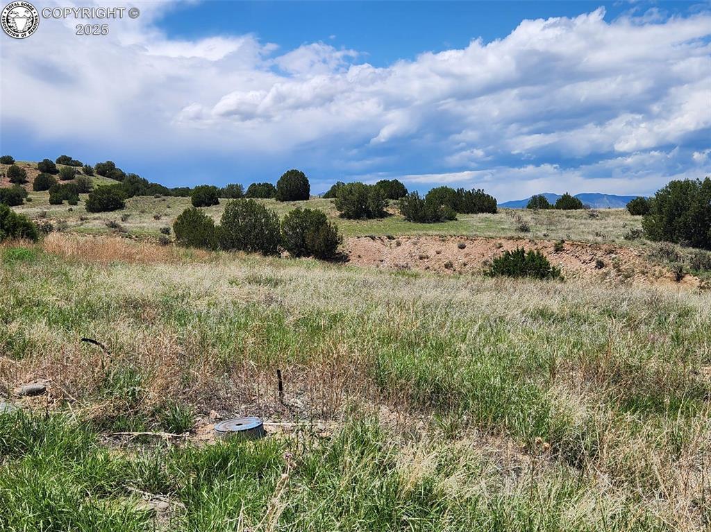 207 High Meadows Dr, Florence, CO 81226 - photo 4