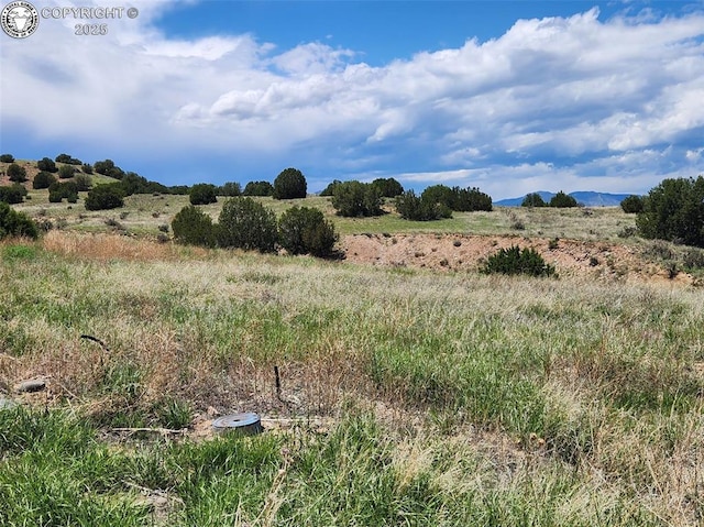 207 High Meadows Dr, Florence, CO 81226 - photo 4