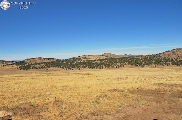 1115 Eagles Gate Rd, Westcliffe, CO 81252 - photo 36