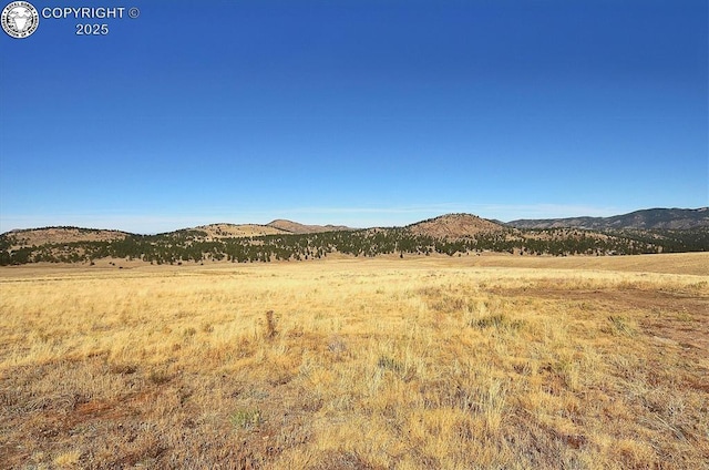 1115 Eagles Gate Rd, Westcliffe, CO 81252 - photo 39