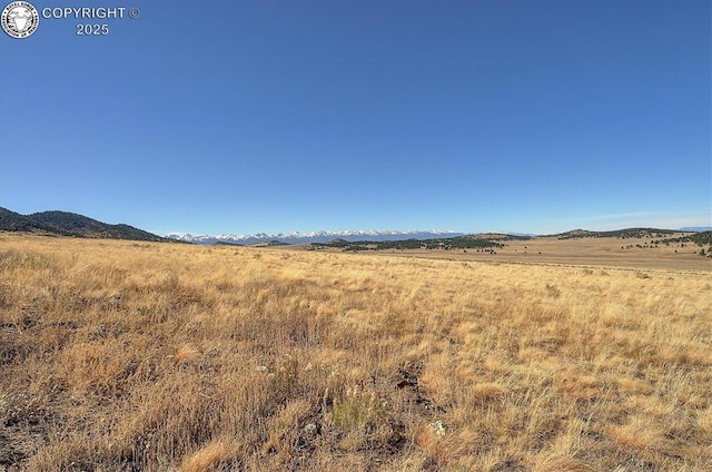 1115 Eagles Gate Rd, Westcliffe, CO 81252 - photo 45
