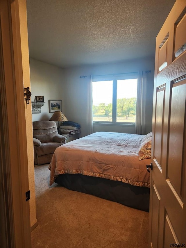 1381 3rd St, Penrose, CO 81240 - carpeted bedroom featuring a textured ceiling