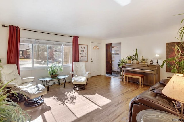 living room with hardwood / wood-style flooring