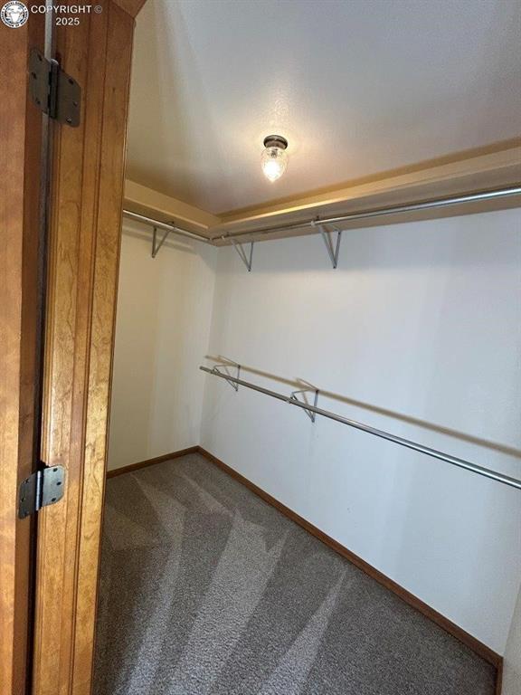 2324 W Willamette Ave, Colorado Springs, CO 80904 - walk in closet with carpet floors