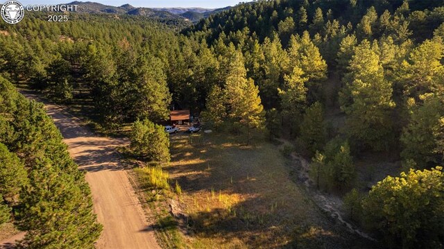 194 Sourwood Ln, Canon City, CO 81212