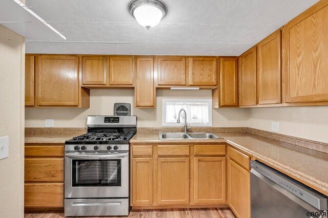 kitchen featuring sink, light hardwood / wood-style floors, and appliances with stainless steel finishes