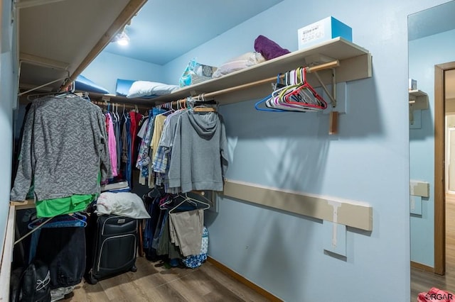 spacious closet featuring wood-type flooring