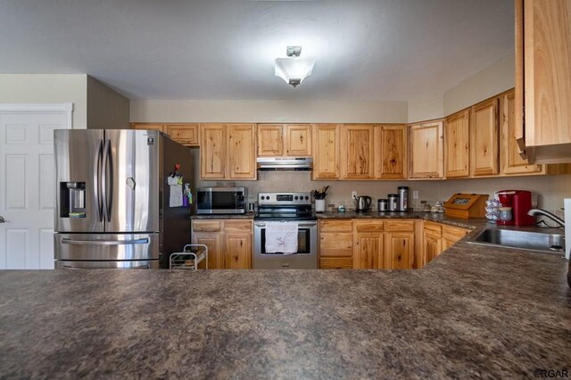 kitchen featuring stainless steel appliances and sink