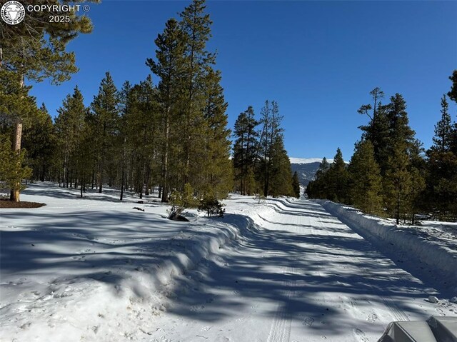322 Fir Dr, Twin Lakes, CO 80461 - photo 17