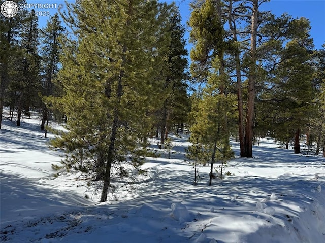 322 Fir Dr, Twin Lakes, CO 80461 - photo 7