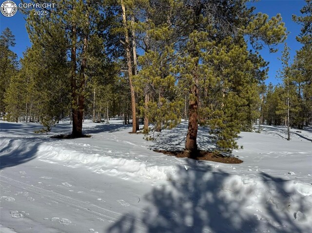 322 Fir Dr, Twin Lakes, CO 80461 - photo 9