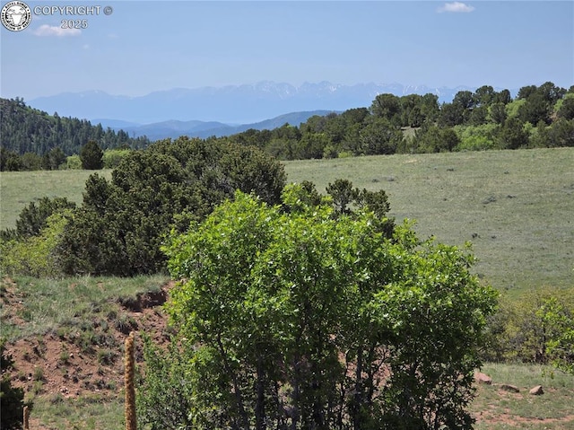 TBD Rustlers Ridge Rd, Canon City, CO 81212