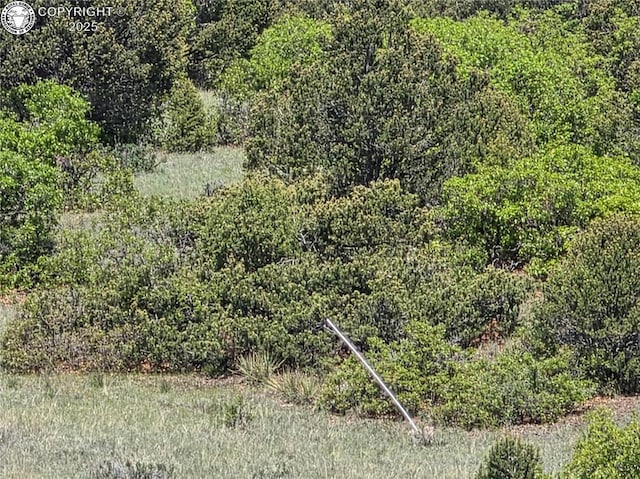 TBD Rustlers Ridge Rd, Canon City, CO 81212