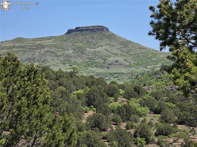 TBD Rustlers Ridge Rd, Canon City, CO 81212