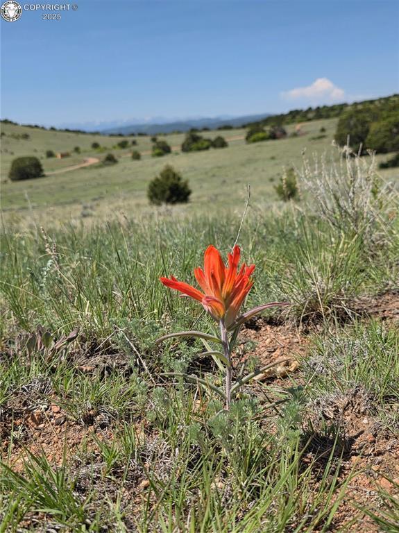 TBD Rustlers Ridge Rd, Canon City, CO 81212