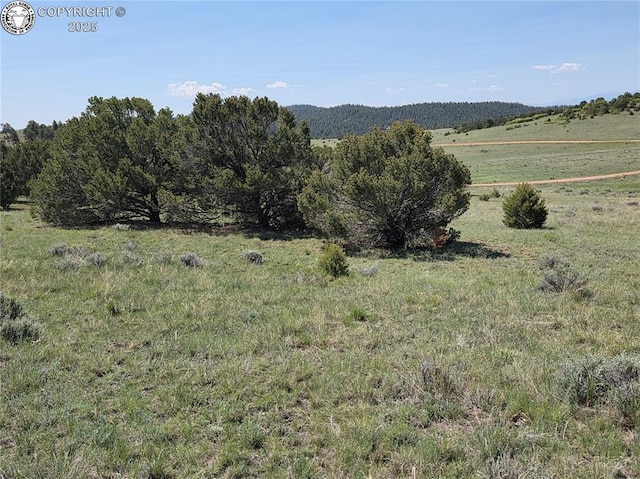 TBD Rustlers Ridge Rd, Canon City, CO 81212