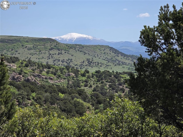 TBD Rustlers Ridge Rd, Canon City, CO 81212