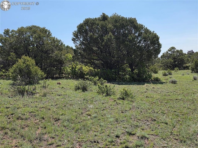 TBD Rustlers Ridge Rd, Canon City, CO 81212