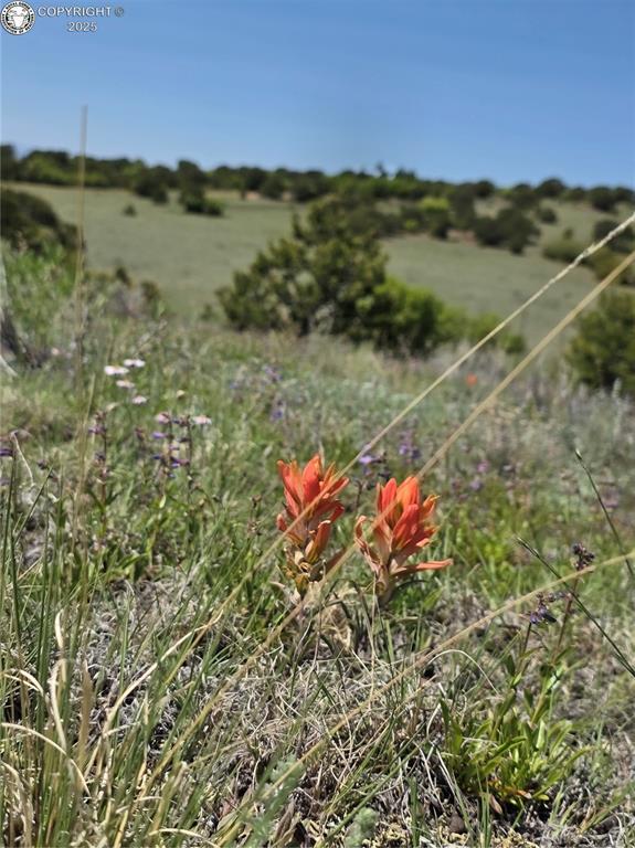 TBD Rustlers Ridge Rd, Canon City, CO 81212
