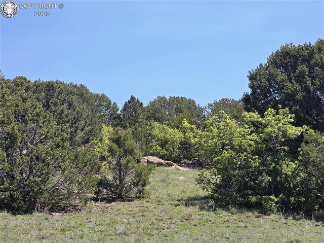 TBD Rustlers Ridge Rd, Canon City, CO 81212