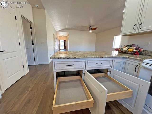 kitchen with light stone counters, dark wood-type flooring, white cabinets, vaulted ceiling, and ceiling fan