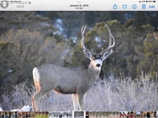 1918 Kelly Creek Trl Unit 2, Canon City, CO 81212 - photo 47