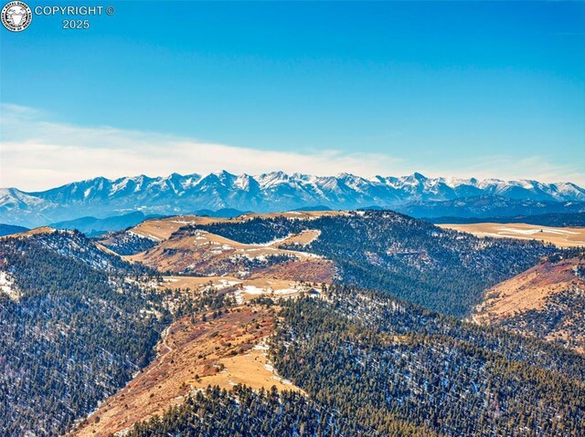 1918 Kelly Creek Trl Unit 2, Canon City, CO 81212 - photo 39