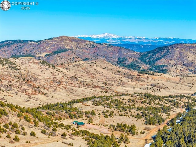 1918 Kelly Creek Trl Unit 2, Canon City, CO 81212 - photo 38