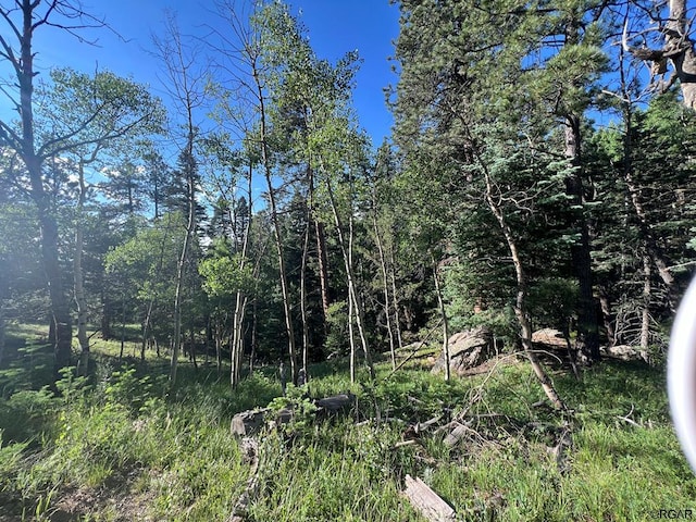 LOT7 Wonder Trl, CO, 81069 land for sale