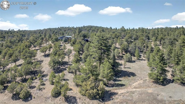 3991 County Road 28, Cotopaxi, CO 81223 - photo 16