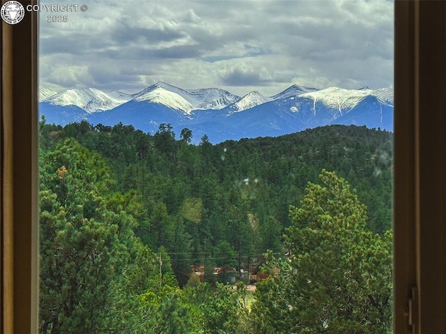 3991 County Road 28, Cotopaxi, CO 81223 - photo 23