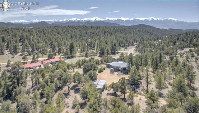 3991 County Road 28, Cotopaxi, CO 81223 - photo 9