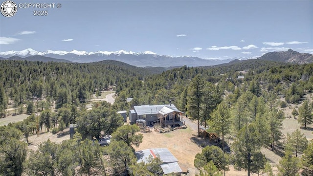 3991 County Road 28, Cotopaxi, CO 81223 - photo 8