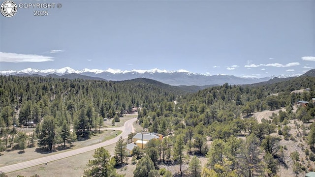 3991 County Road 28, Cotopaxi, CO 81223 - photo 10