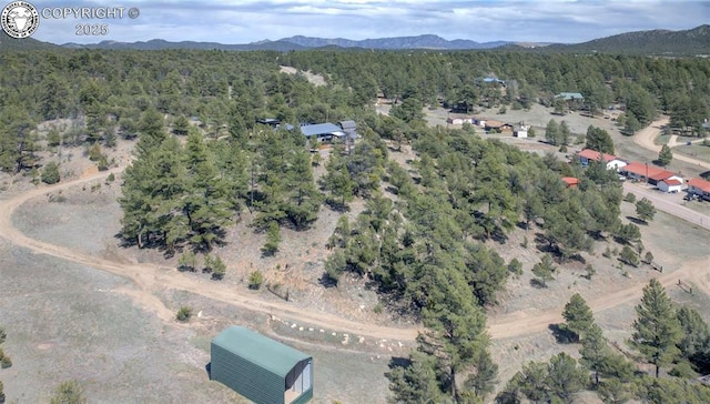3991 County Road 28, Cotopaxi, CO 81223 - photo 12