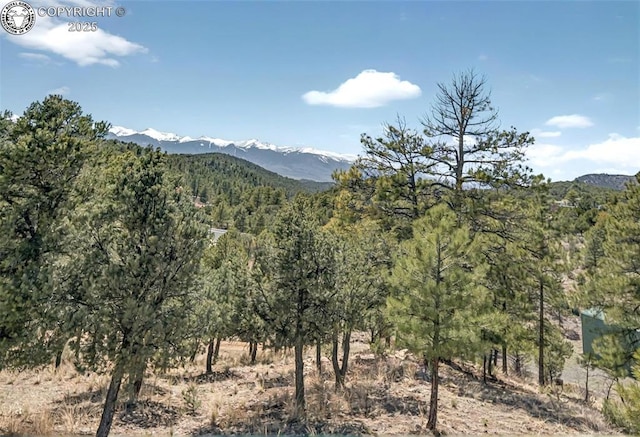 3991 County Road 28, Cotopaxi, CO 81223 - photo 33